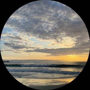 Meet your Posher, Dana